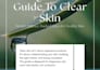 create a professional PDF lead magnet design, workbook and ebook